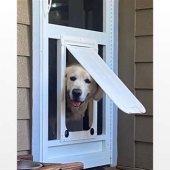 Sliding Glass Door Screen With Doggie