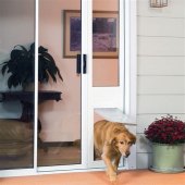 Doggie Door Glass Slider
