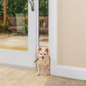 Open Glass Door Dog