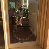 Pet Door In Glass Geelong